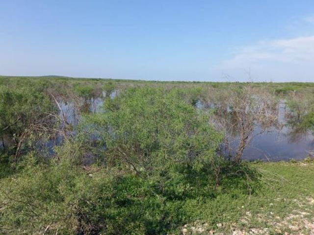 Venta de Rancho Equipado en China