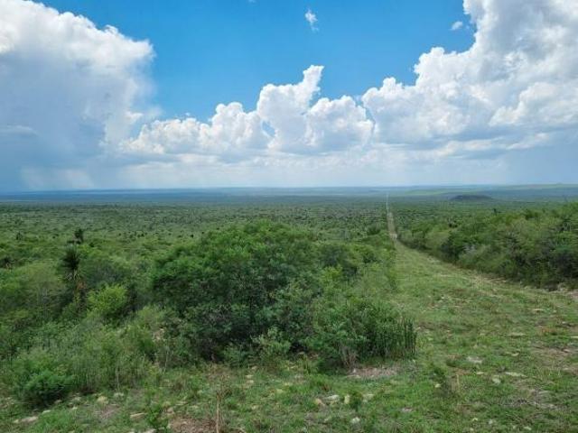 Venta de Rancho Equipado en Linares