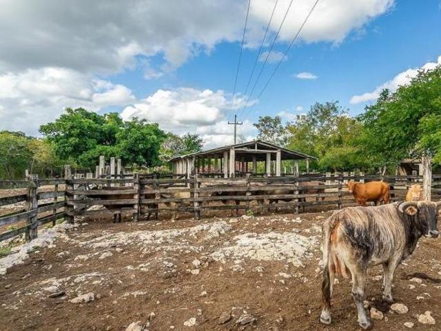 Rancho en venta en Panabá, Yucatán