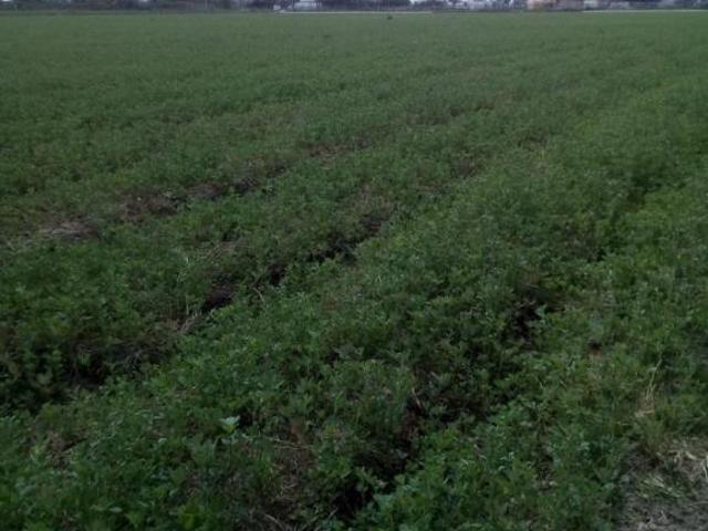 VENTA DE RANCHO LA PROVIDENCIA, AGUASCALIENTES