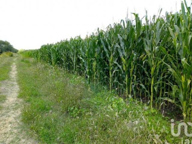 VENTA DE RANCHO LA PROVIDENCIA, AGUASCALIENTES