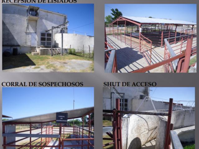 VENTA DE RASTRO TIF NORTE DE COAHUILA