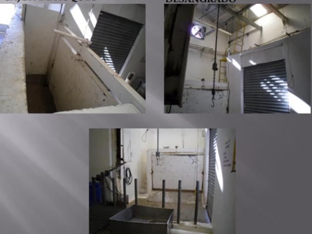 VENTA DE RASTRO TIF NORTE DE COAHUILA