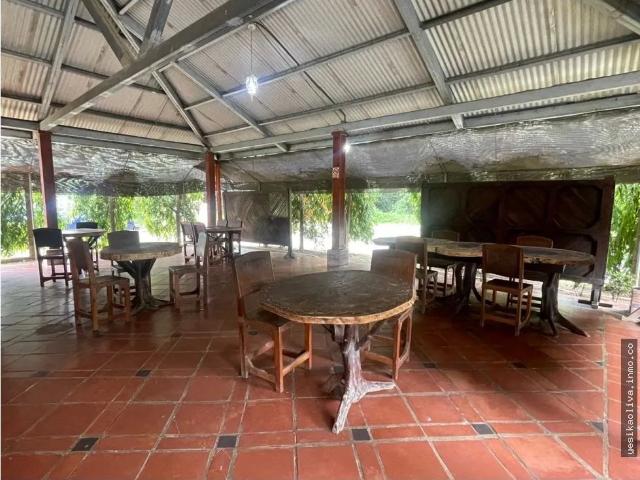 Terreno venta en Tonosí