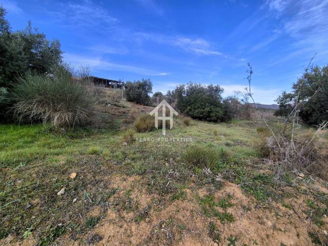 Terreno en venta en Riofrío, Comarca de Loja