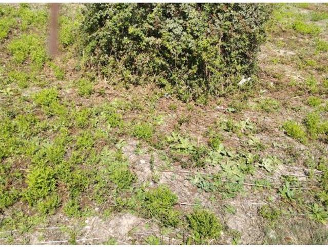 Local Comercial en venta en Raiguer, Baleares