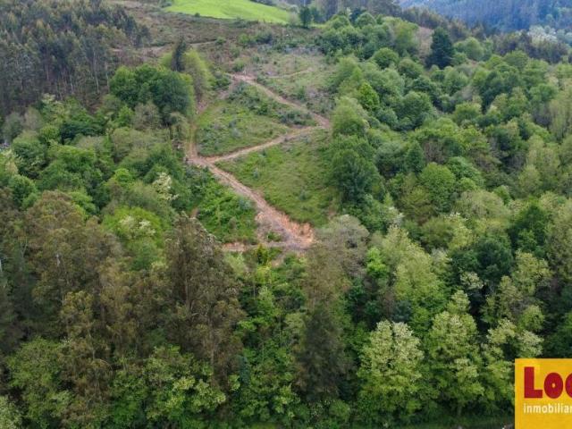 Terreno en venta en Cabuérniga, Cantabria