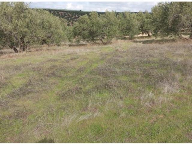 Local Comercial en venta en Fuensanta De Martos