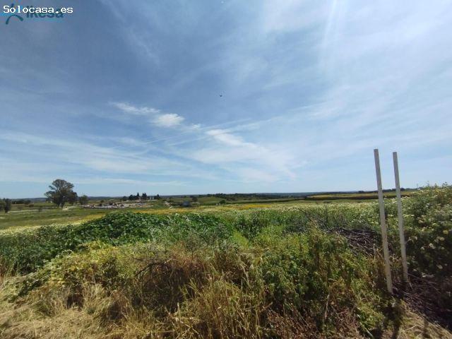 Local Comercial en venta en Alosno, Huelva