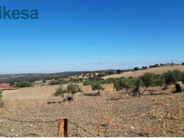 Local Comercial en venta en Calera De León, Extremadura