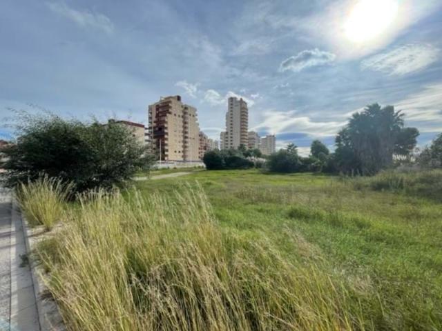 Terreno en venta en Platja de Tavernes de la Valldigna, la Safor
