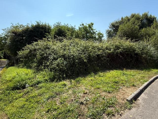 Terreno en venta en La Pumariega, Muros De Nalón