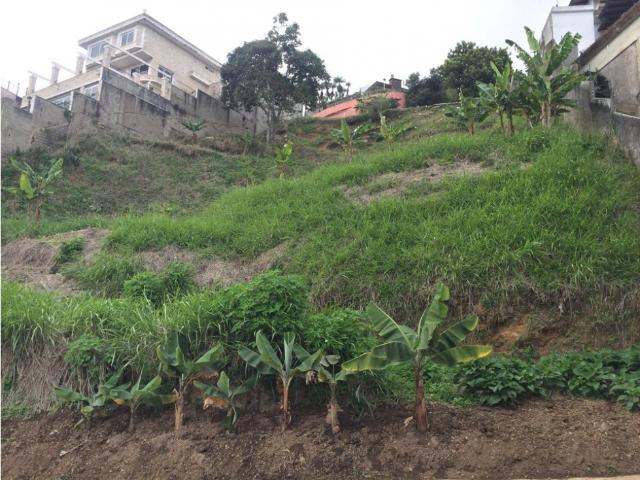 Terreno en venta en Urbanizacion Alto Hatillo, Miranda