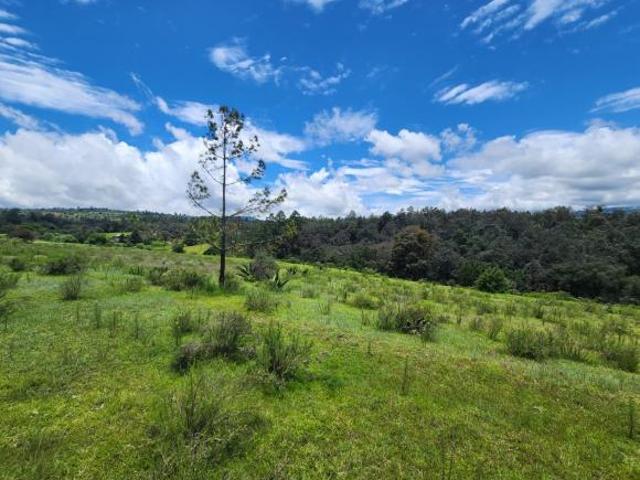 Terreno en venta en Zacatlán, Puebla