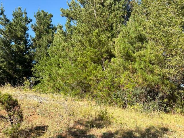 Terreno en venta en Antuco, Biobío