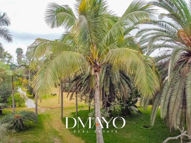 Terreno venta en Manchay, Lima Metropolitana