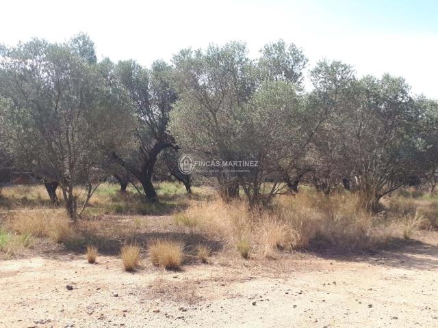 Terreno en venta en Baix Camp, Catalunya