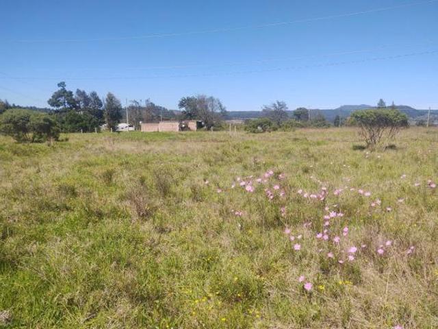 Terreno en venta en Zacatlán, Puebla