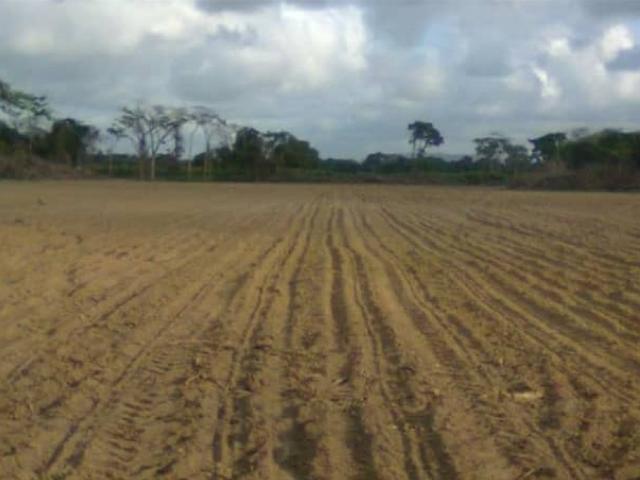 Terreno en venta en Monseñor Iturriza, Falcón