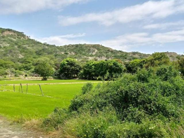 Venta De Terreno 6300 M2 En La Cruz Tumbes Lsantti