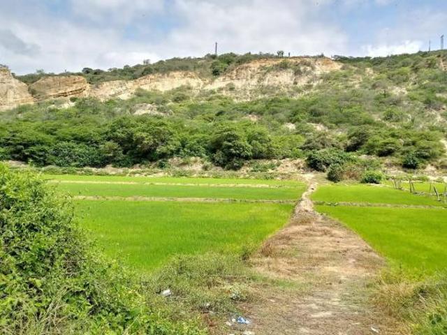 Venta De Terreno 6300 M2 En La Cruz Tumbes Lsantti