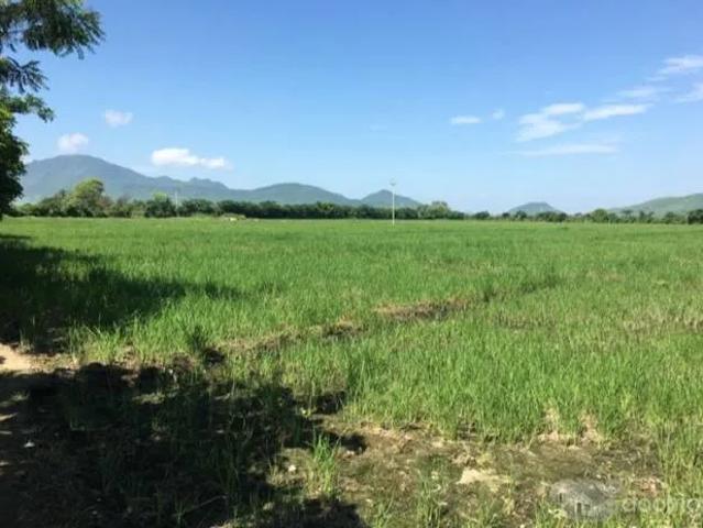 Terreno venta en Morropon, Piura