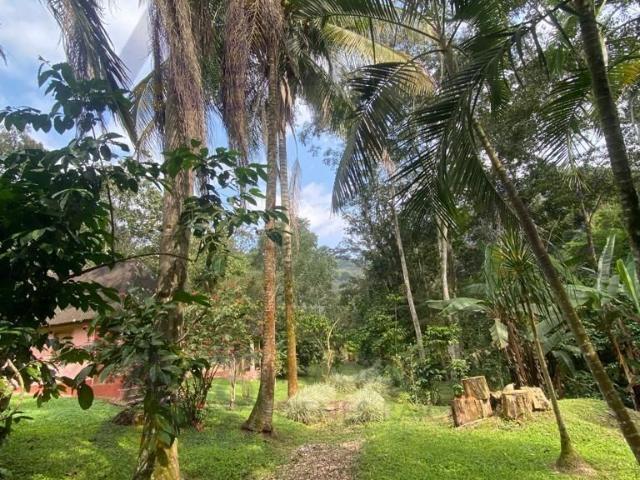 Rancho en venta en Amatlán De Los Reyes, Veracruz