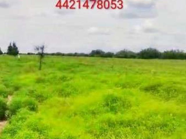 Terreno en venta en Rioverde, San Luis Potosí