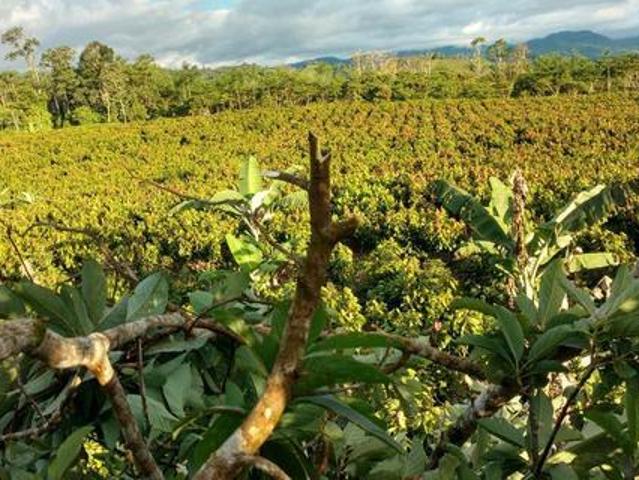 Terreno venta en Comte Noel, Ancash