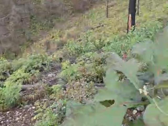 Terreno en venta en Madero, Michoacán