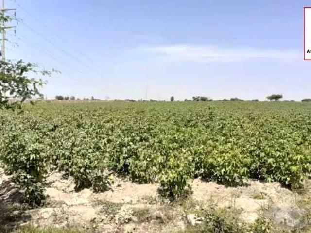 Terreno venta en Pisco, Ica