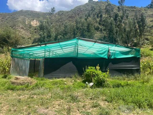 Terreno venta en Corongo, Ancash