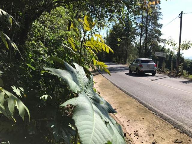 Venta de Terreno, Barrio los Manantiales, Col. Xocoyolo, Cuetzalan del Progreso