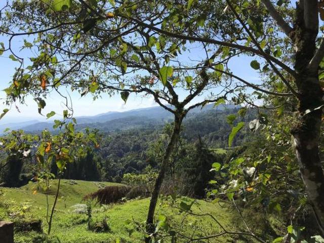 Venta de Terreno, Barrio los Manantiales, Col. Xocoyolo, Cuetzalan del Progreso