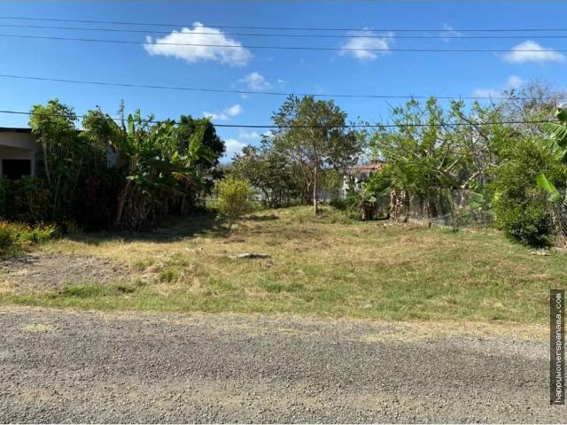 Terreno venta en Las Tablas, Bocas del Toro