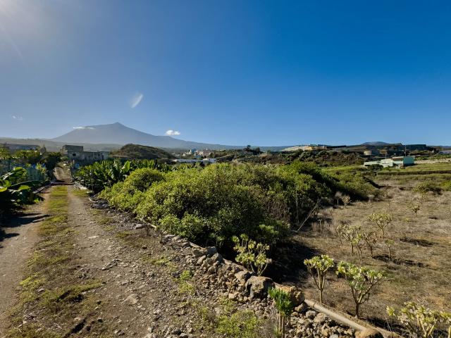 Casa Rural en venta en Realejo Alto, Los Realejos
