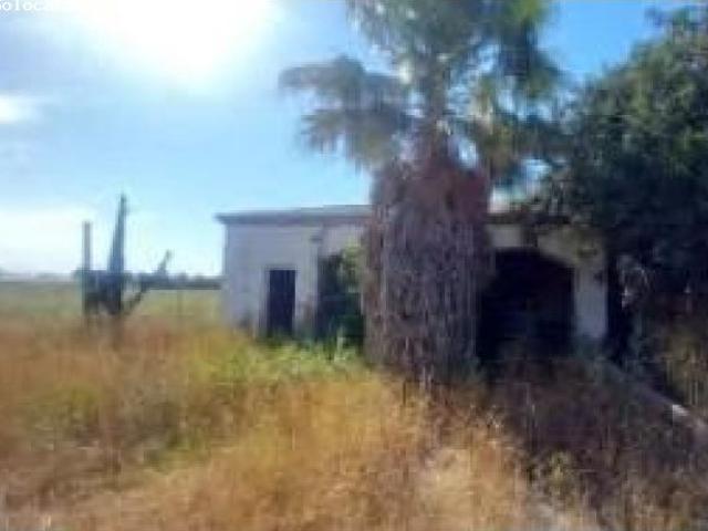 Local Comercial en venta en Los Palacios Y Villafranca, Andalucía