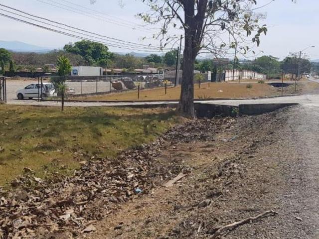 Venta de terreno con oficina en vía interamericana, David, San Pablo