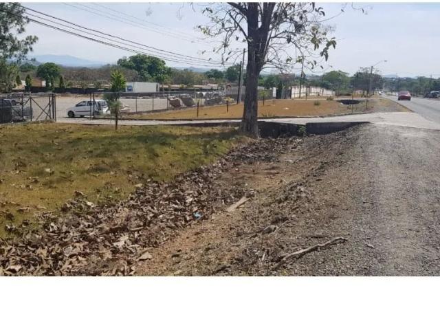 Terreno venta en Chiriquí, David