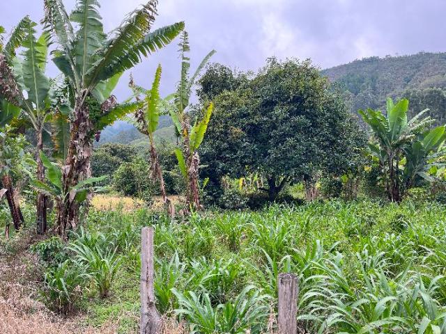 Terreno venta en Huancabamba, Pasco