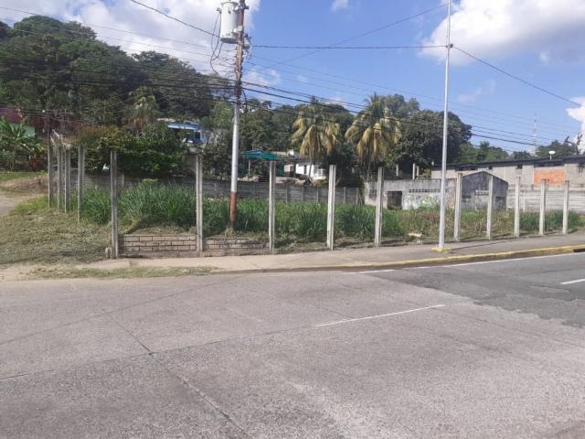 Terreno en venta en Gua, Portuguesa
