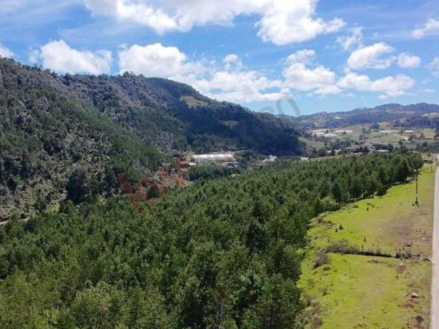 Terreno en venta en Tlamimilolpa, Acaxochitlán
