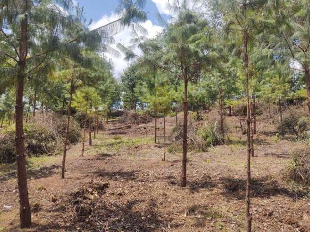 Terreno en venta en Zacatlán, Puebla