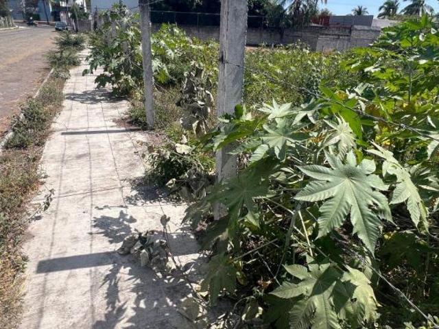 Terreno en venta en Colima