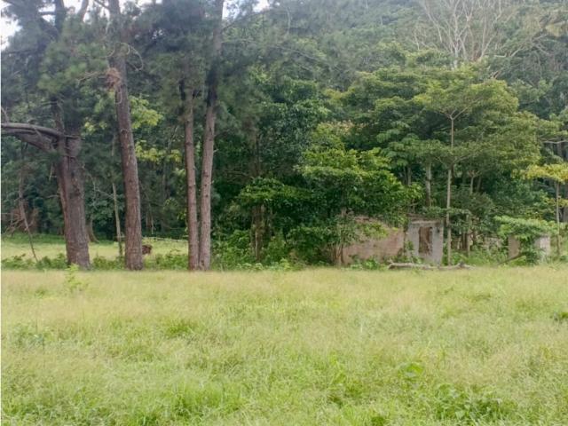 Finca en venta en La Cumaca, Carabobo