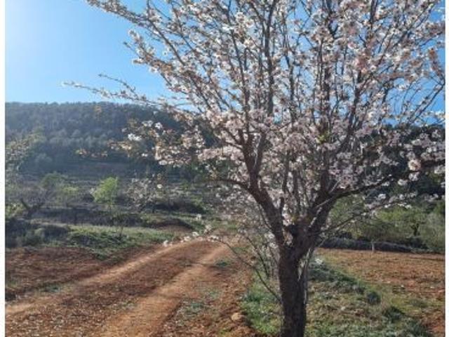 Local Comercial en venta en Noroeste, Murcia