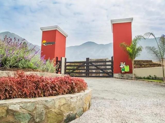 Terreno venta en Canete, Lima Metropolitana