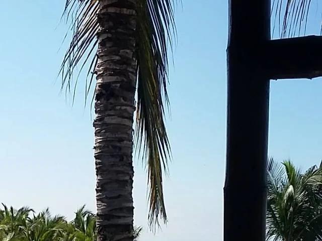 Terreno alquiler en Tumbes