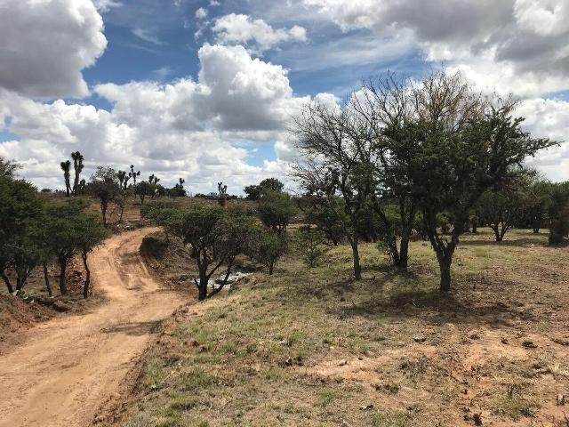 Terreno en venta en Asientos, Aguascalientes