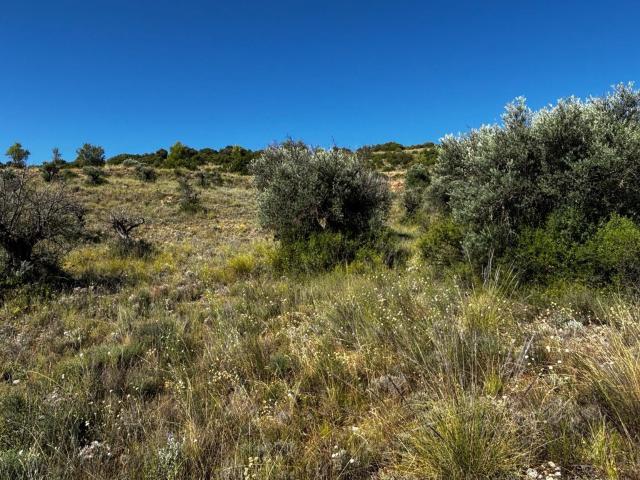 Terreno en venta en Carabaña, Madrid